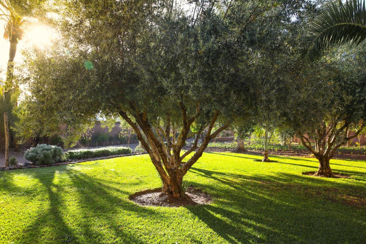 مراكش Villa 55 Marrakech المظهر الخارجي الصورة