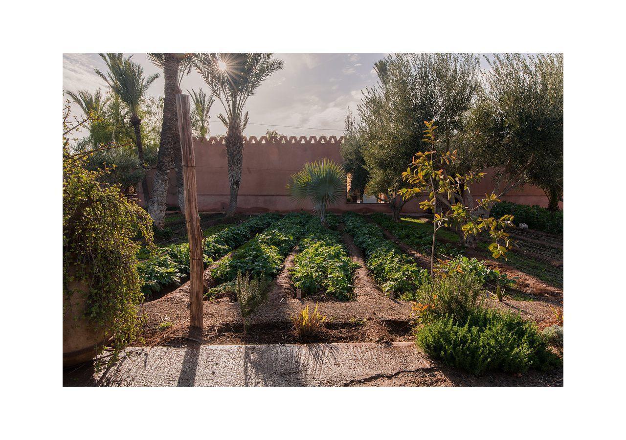 مراكش Villa 55 Marrakech المظهر الخارجي الصورة