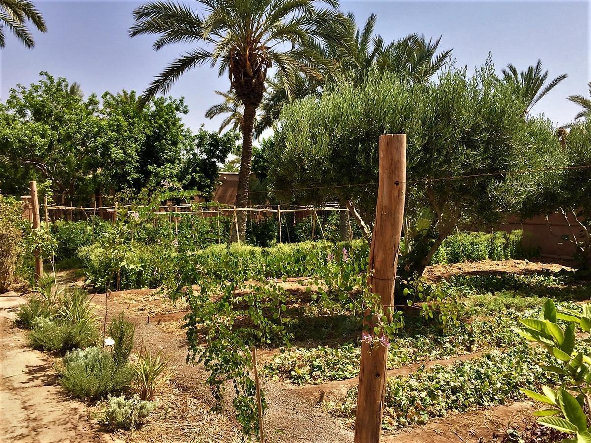 مراكش Villa 55 Marrakech المظهر الخارجي الصورة